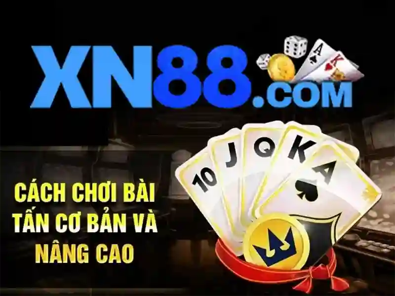 Nền tảng và sản phẩm