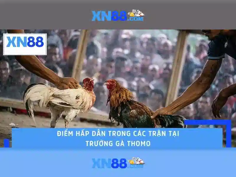 Lịch sử và nguồn gốc
