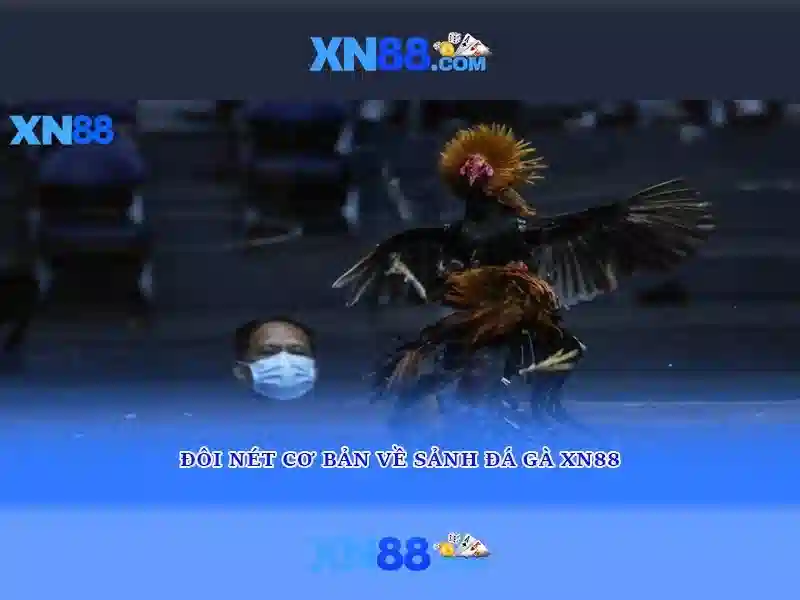 Các tính năng chính