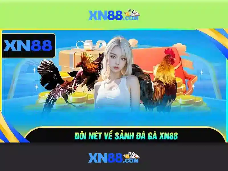 'Cung cấp trò chơi đa dạng'