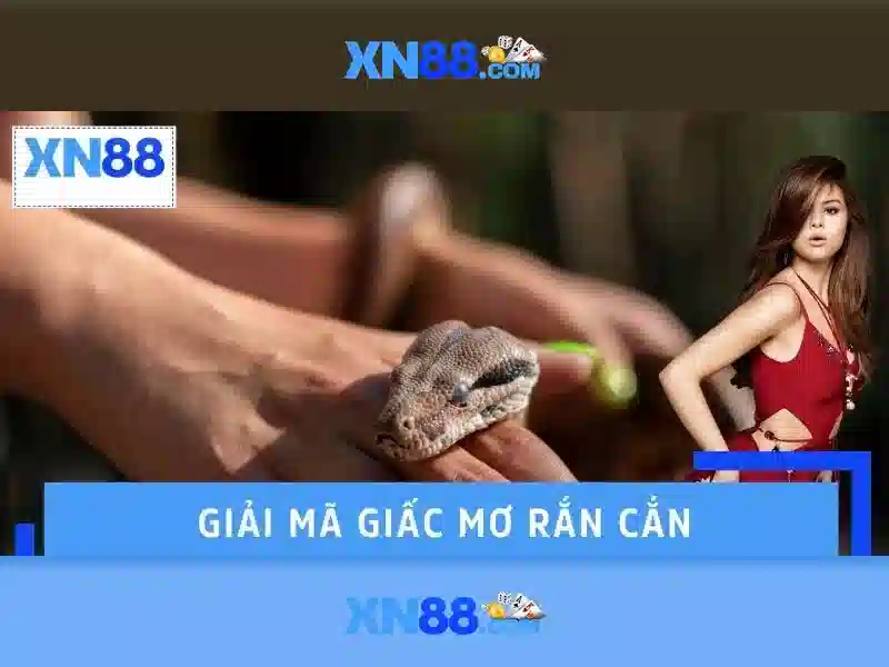 Tính năng nổi bật của xn88