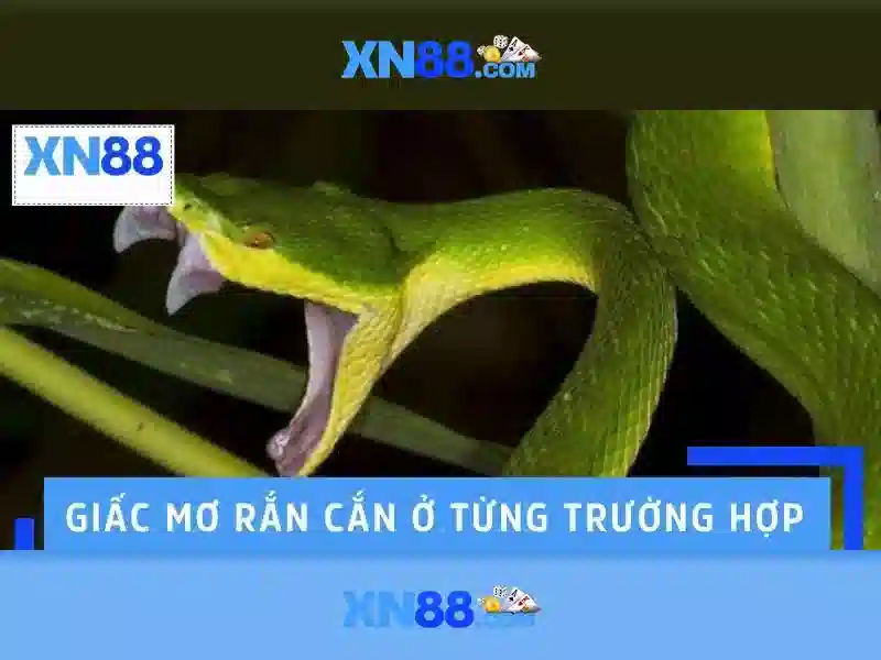 tai app xn88: tổng quan, trải nghiệm và hành trình
