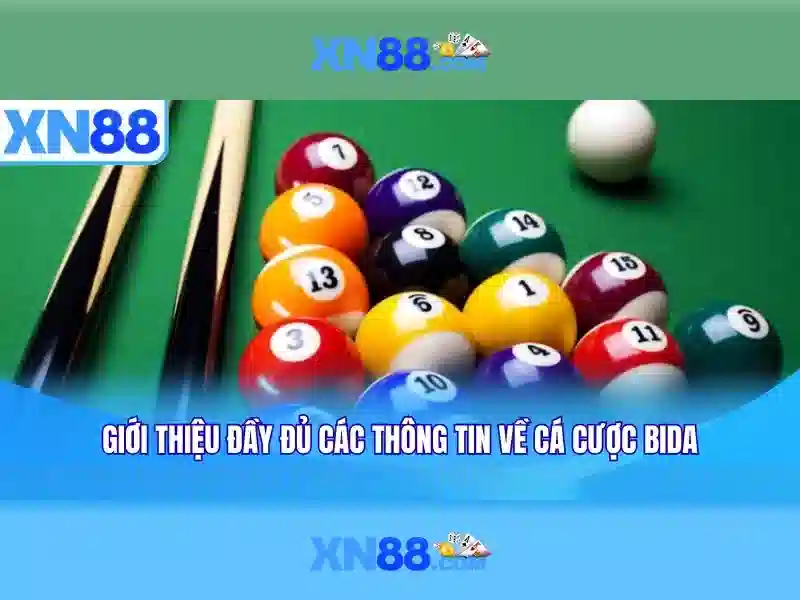 xn88 - Tổng quan về nền tảng giải trí và cá cược