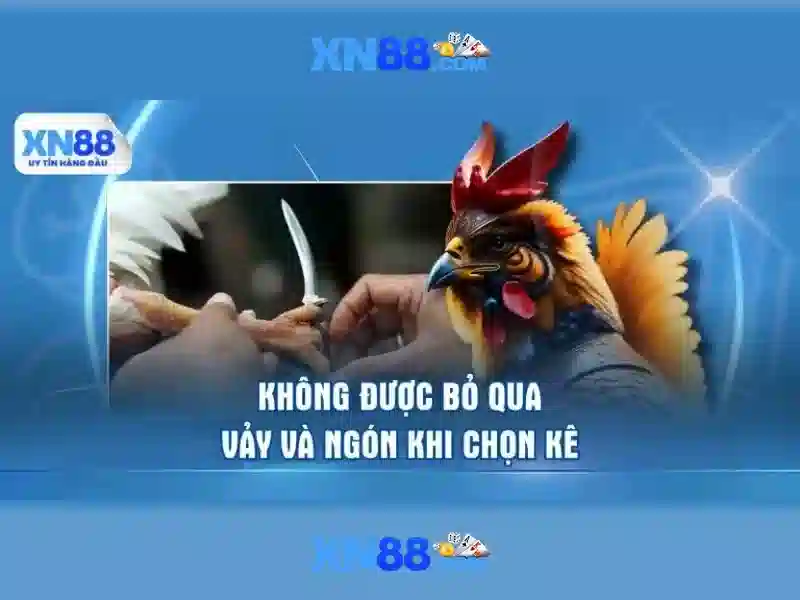 Giới thiệu về xn88