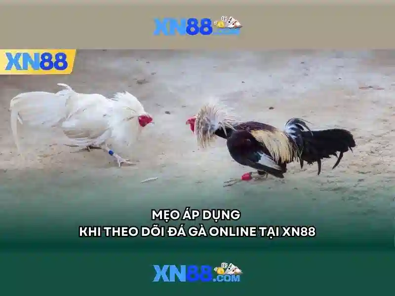 xn88 trong thế giới cá cược trực tuyến