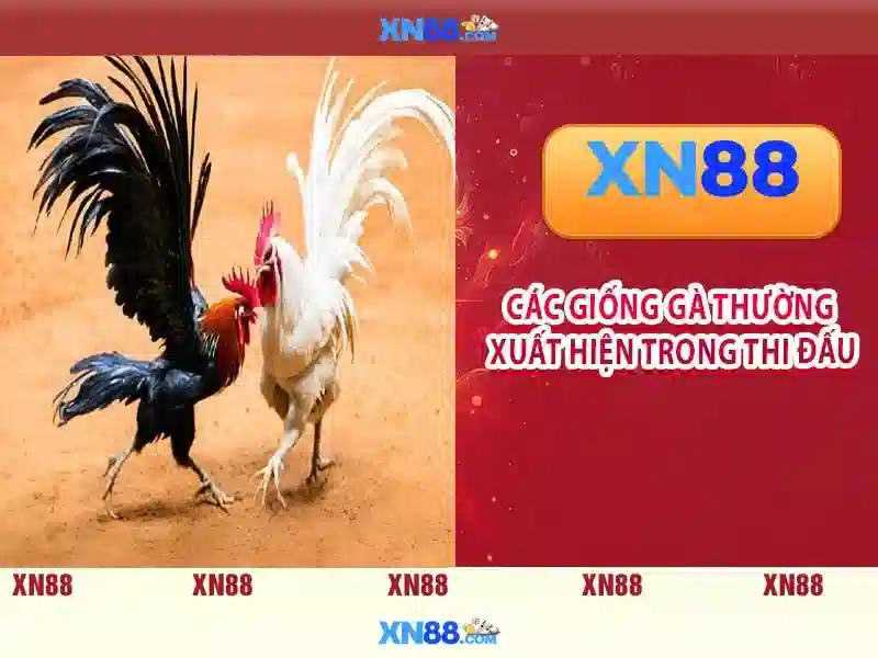 Khuyến mại và chương trình thưởng