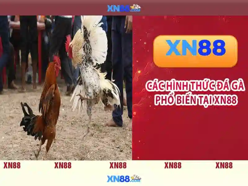 Lịch sử và phát triển