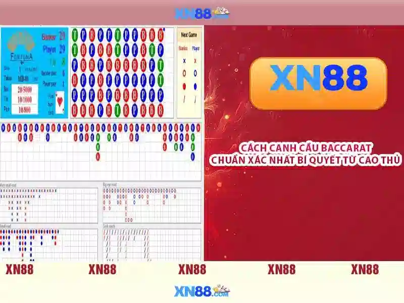 Các tính năng nổi bật