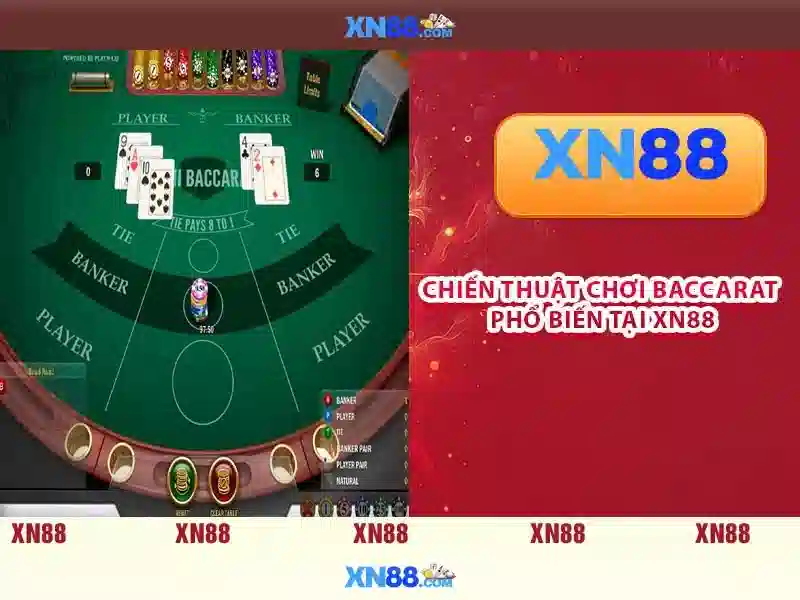 Giới thiệu về xn88