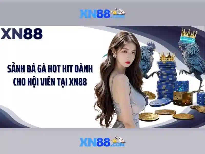 xn88 — Tổng quan và hướng dẫn căn bản