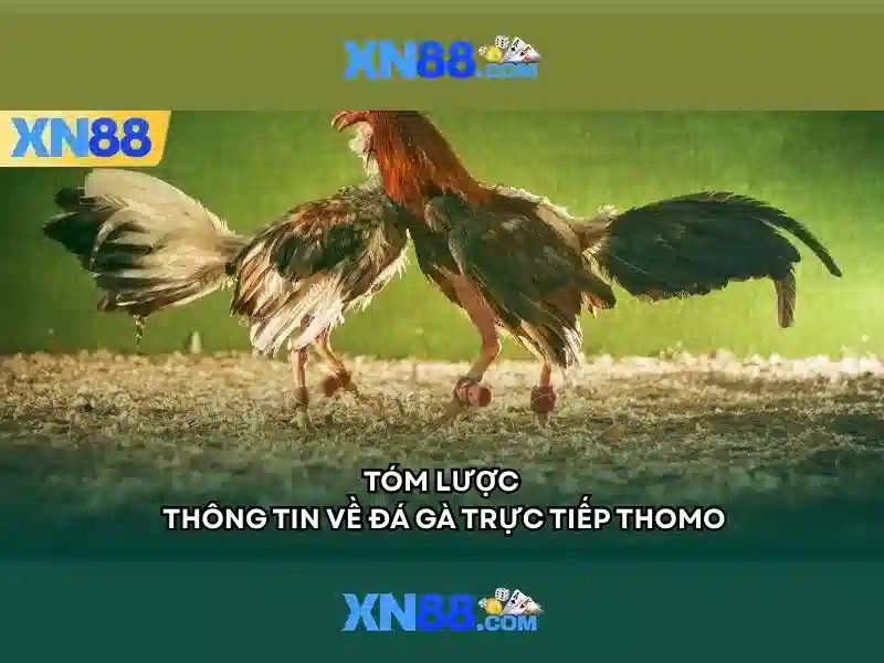 Xn88: Nền tảng trực tuyến và những điều cần biết
