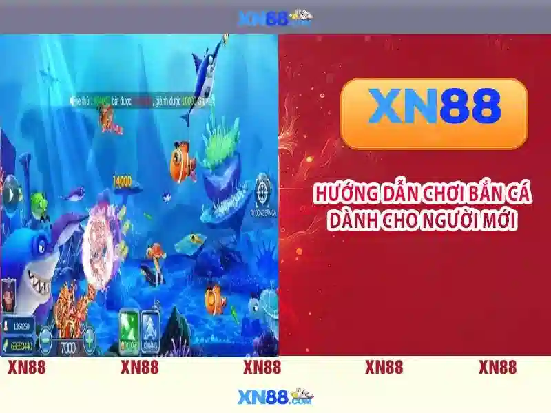 Xn88: Giới thiệu và hướng dẫn sử dụng