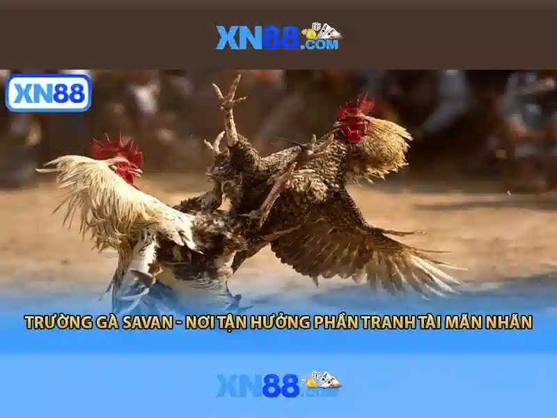 Các trò chơi tại xn88