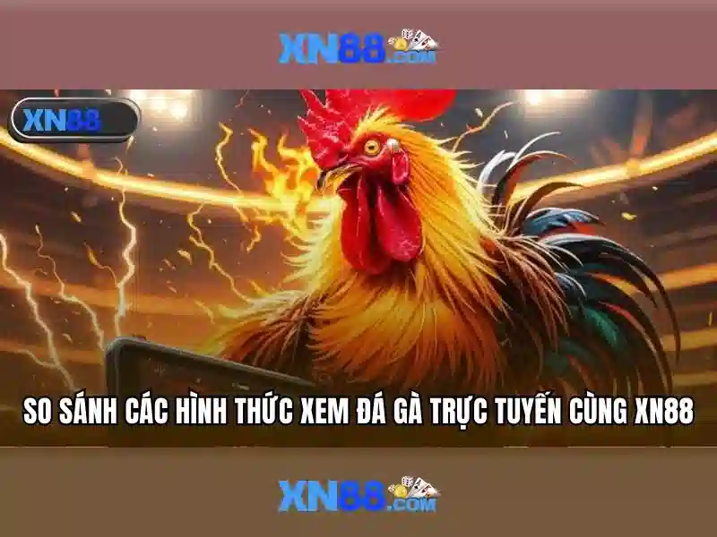 Tải xn88 – Tổng quan chủ đề và giá trị cốt lõi