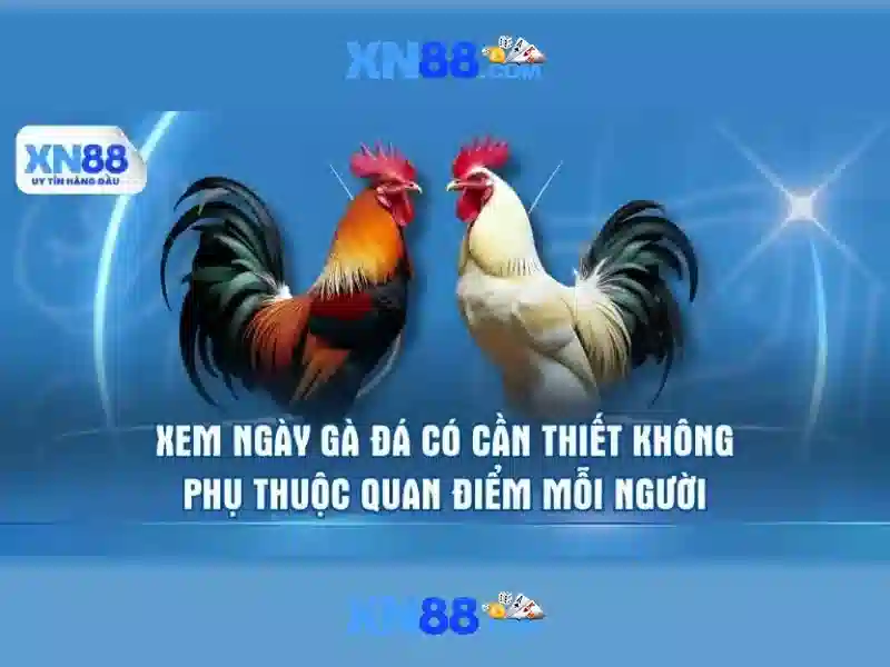 Lịch sử và nguồn gốc