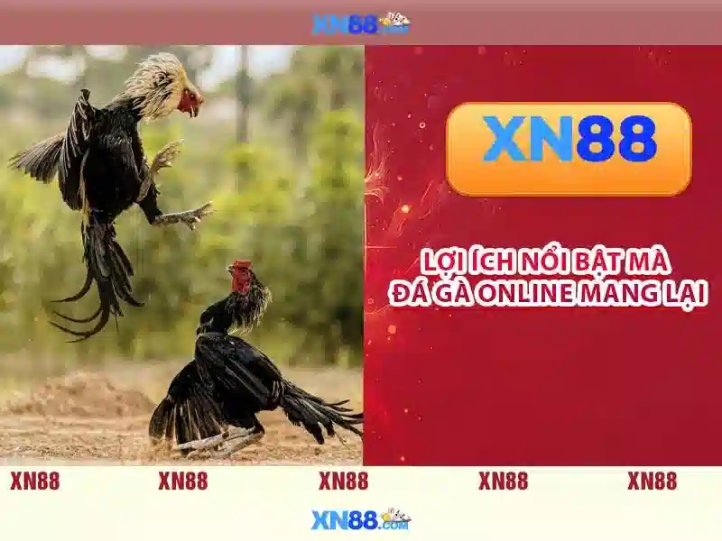 xn88: Nền tảng chơi game trực tuyến an toàn và đa dạng