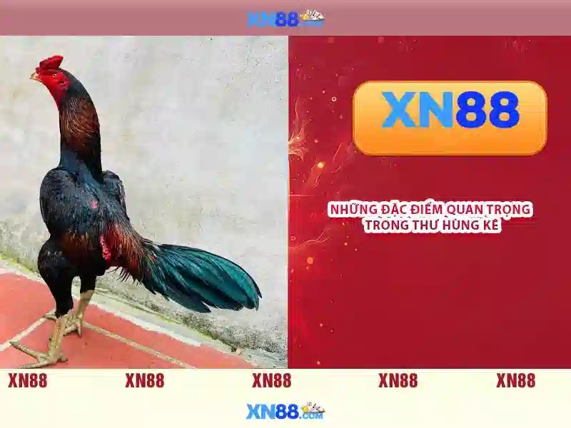 tải app xn88 - Trải nghiệm toàn diện từ xn88-app và bandcamp xn88