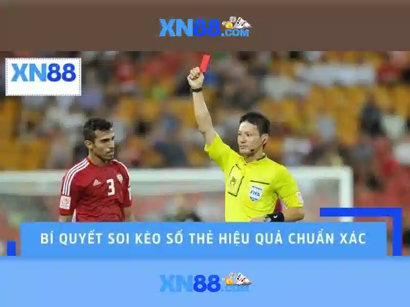 Giới thiệu về xn88