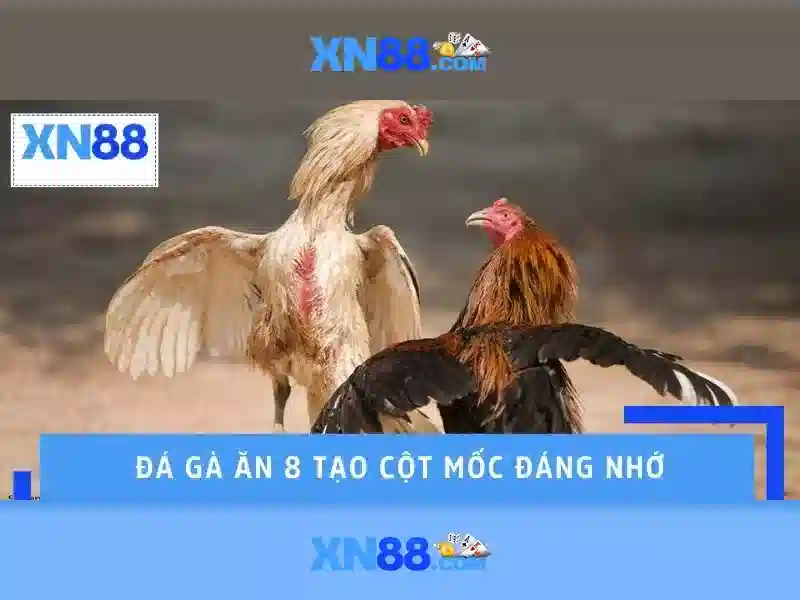 xn88-game: Trải nghiệm đỉnh cao và giá trị cốt lõi