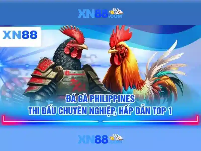  Nguồn gốc và sứ mệnh của xn88 official