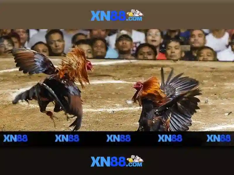 Xn88: Nền tảng trò chơi trực tuyến và đánh giá uy tín