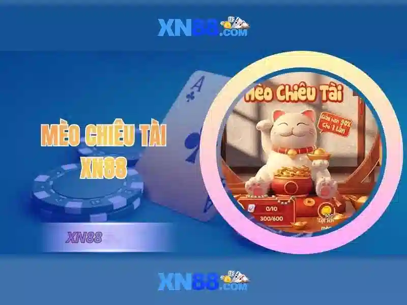 Khuyến nghị và kết luận