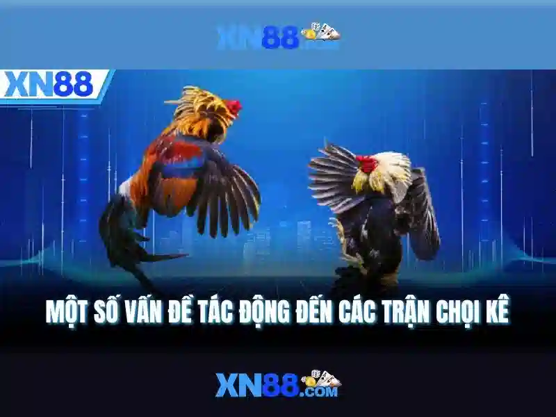 xn88 - Tong quan ve thuong hieu va cong nghe