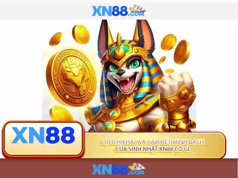 Tính năng nổi bật