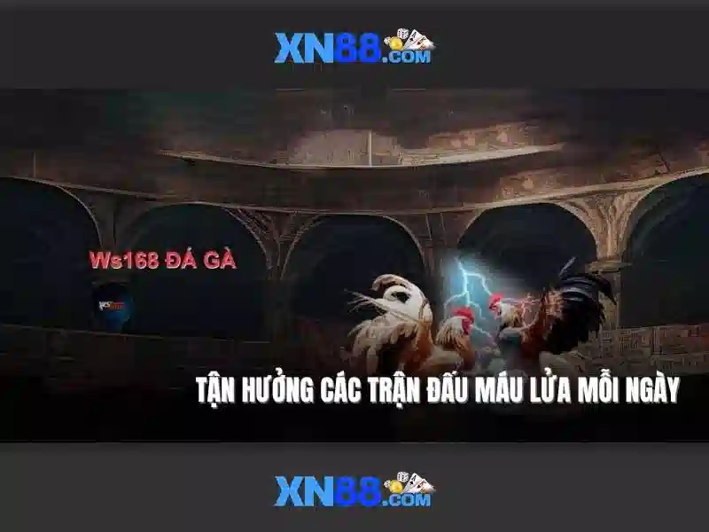 XN88 là gì?