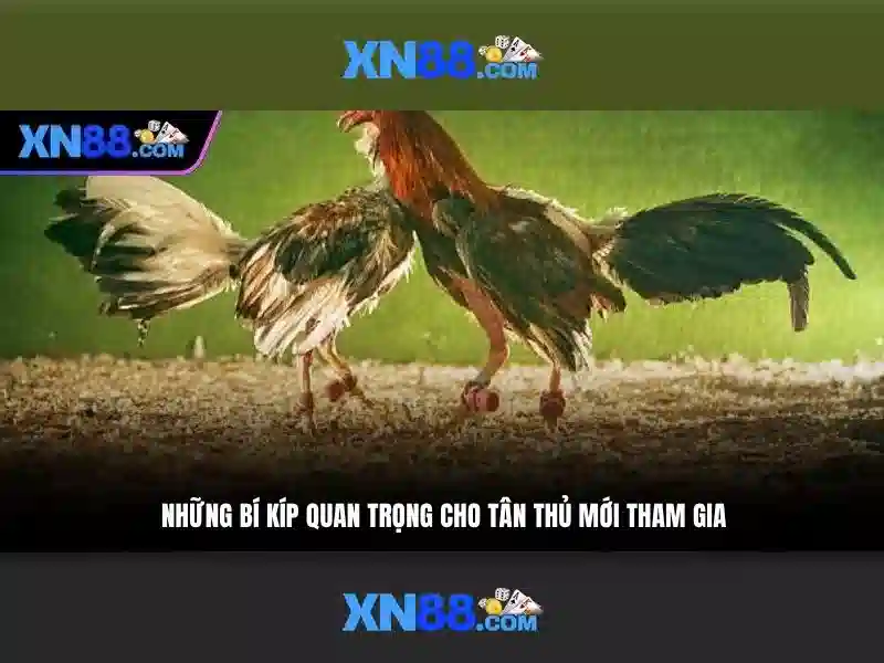 Xn88: Tổng quan và các tính năng nổi bật