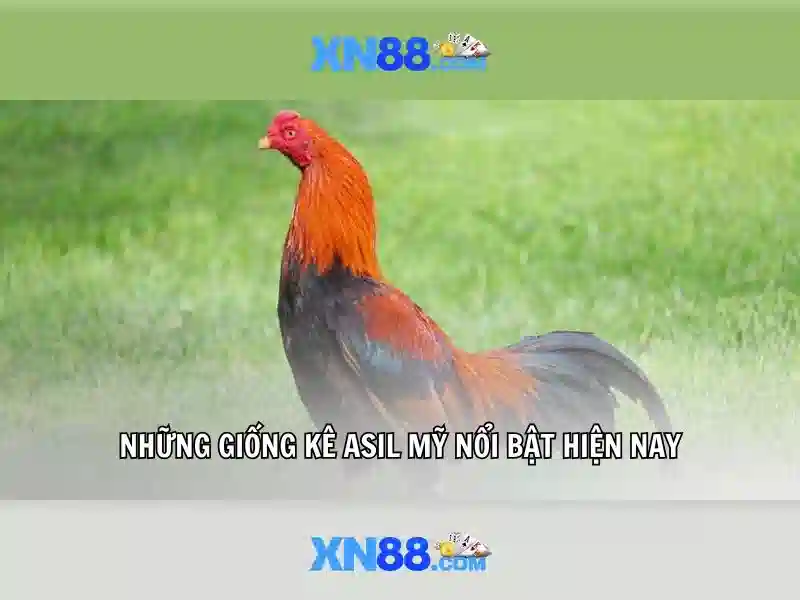 xn88 – Nền tảng chơi game trực tuyến và cá cược uy tín