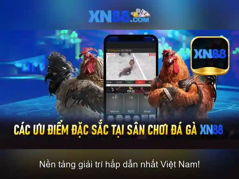 Kết luận và tương lai