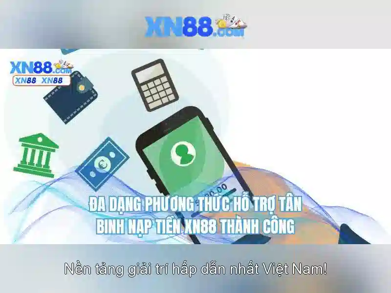 Kết luận và triển vọng