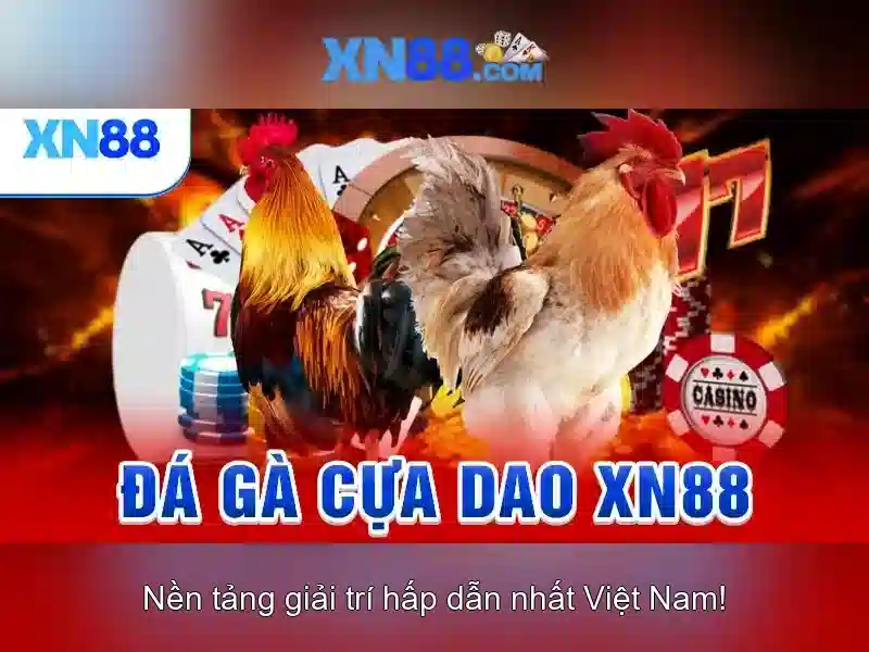 Lý do người chơi lựa chọn xn88