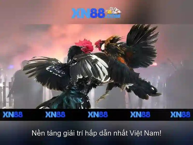 Giới thiệu về xn88 