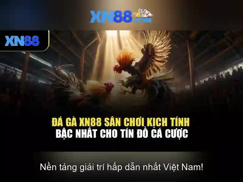 xn88: một nền tảng giải trí và trò chơi trực tuyến