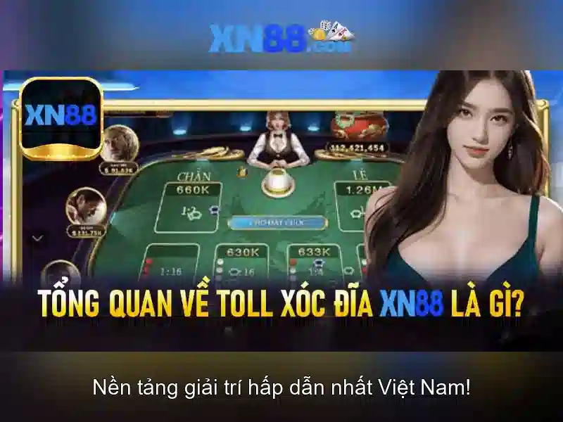 Hỗ trợ khách hàng và pháp lý