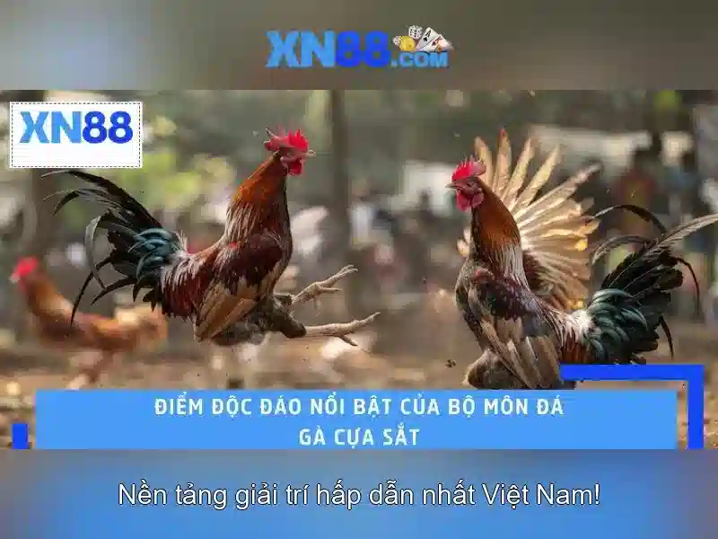 Giới thiệu về xn88: Nền tảng trò chơi trực tuyến và trải nghiệm người dùng