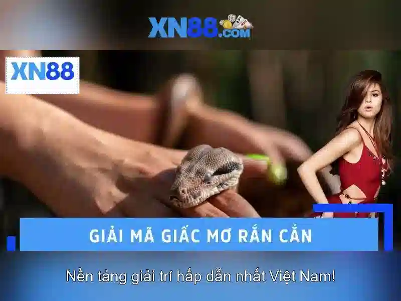xn88: Tổng quan và trải nghiệm trực tuyến