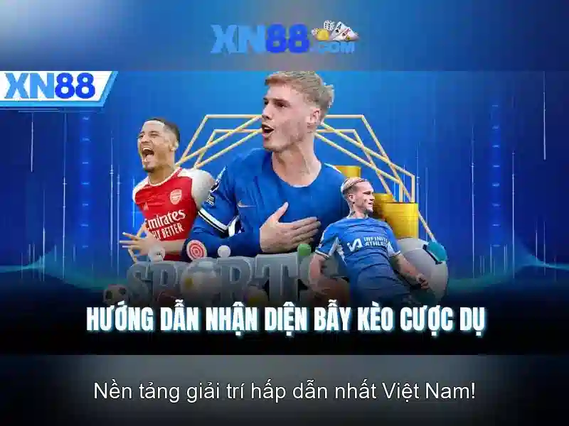 Giao diện và trải nghiệm người dùng
