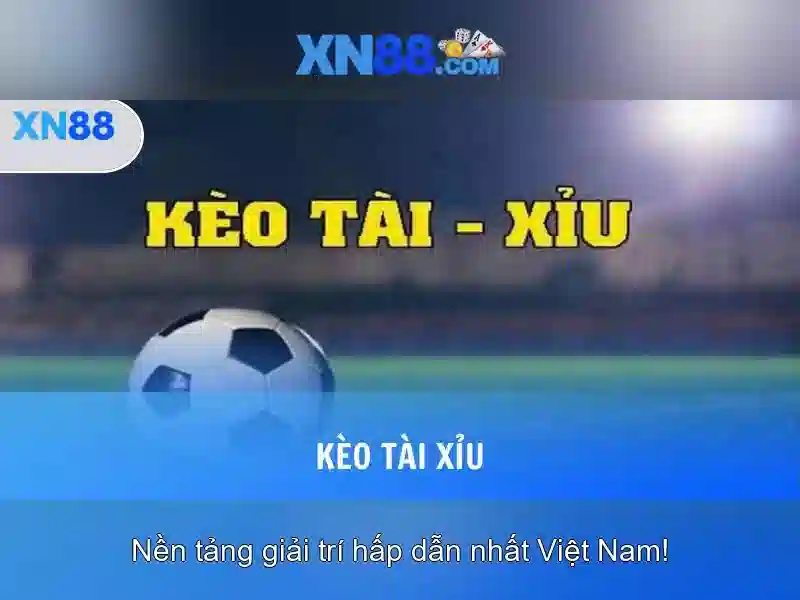 Lưu ý và trách nhiệm khi chơi