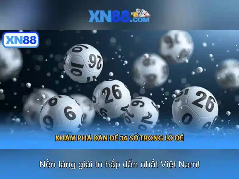 Chức năng và dịch vụ