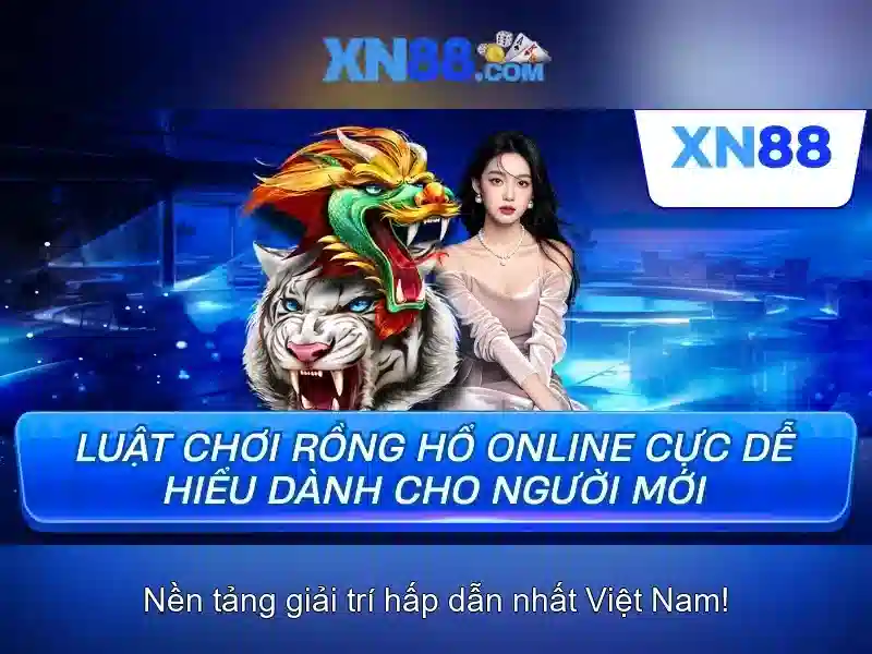 Kết luận về xn88