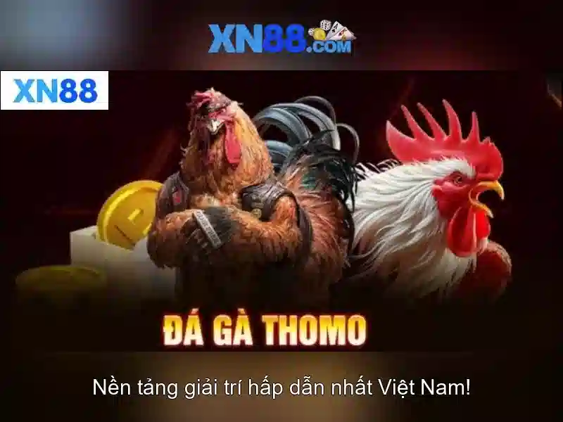 xn88: Nền tảng trò chơi trực tuyến và đánh giá