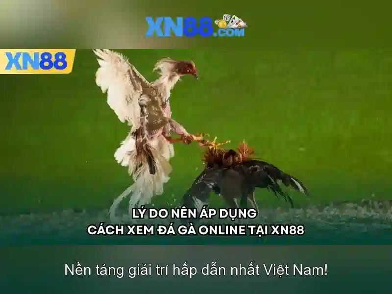Danh mục sản phẩm và dịch vụ của xn88