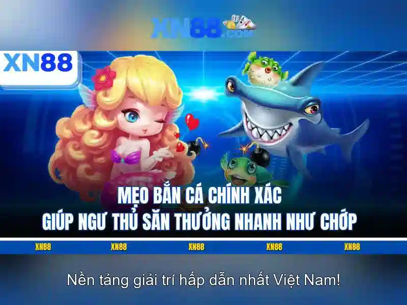 Lịch sử và sự phát triển