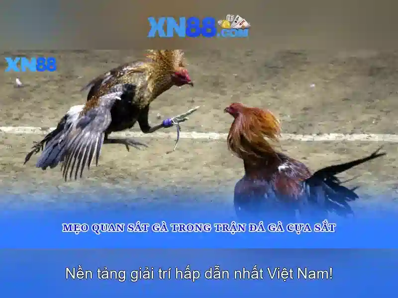 xn88: tổng quan về nền tảng giải trí trực tuyến