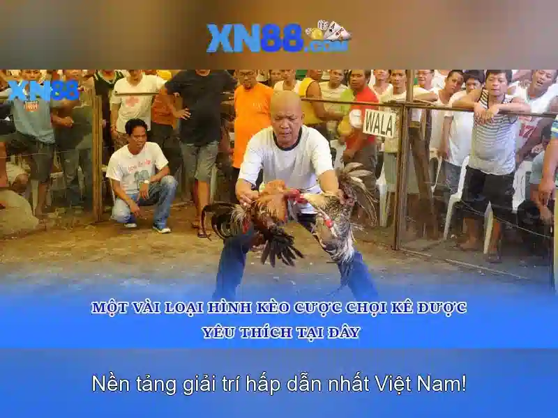 Các tính năng nổi bật