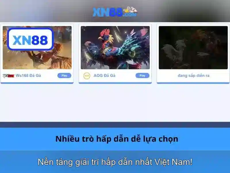 xn88: Tổng quan và đánh giá về nền tảng cá cược trực tuyến