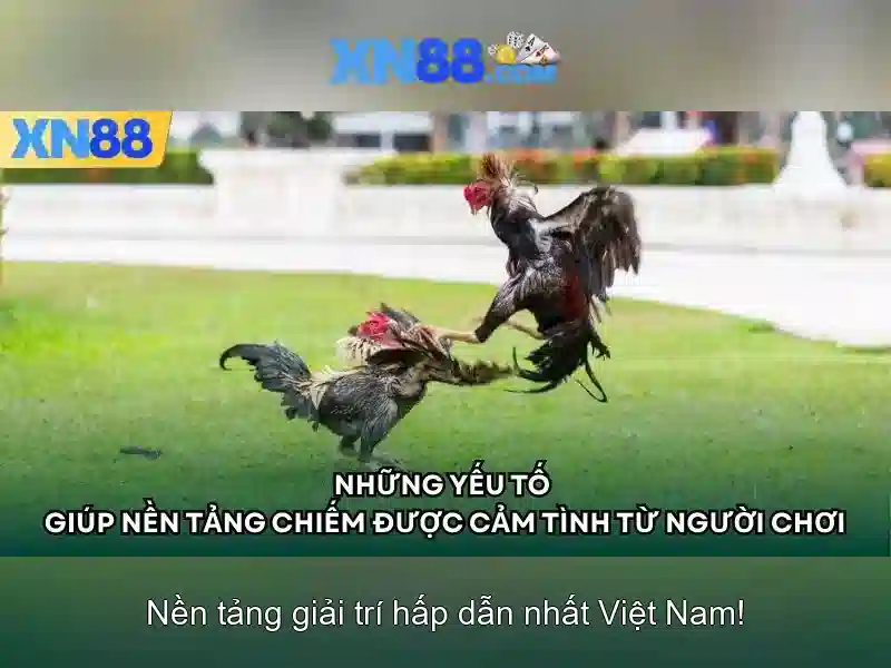 Giới thiệu xn88